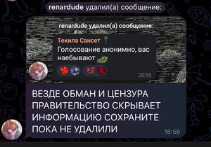 Скриншот удалённого Ренардьюд сообщения Текилы со словами "Голосование анонимно вас наёбывают" с новой подписью "ВЕЗДЕ ОБМАН И ЦЕНЗУРА; ПРАВИТЕЛЬСТВО СКРЫВАЕТ ИНФОРМАЦИЮ; СОХРАНИТЕ ПОКА НЕ УДАЛИЛИ".